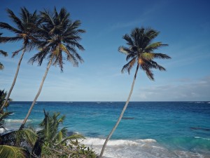 2015-01-Barbados 165
