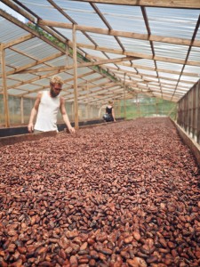 2015-02-Grenada-Chocolate-Company 192