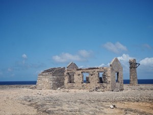 2015-01-Bonaire 232